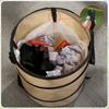 Oxford Durable Trash Can Foldable Camping Trash Can Portable Pop-up Trash Can  Portable