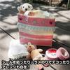 Yamato Vinyl 19mm Set of 3 Tape, Wide, Orange, Rolls, No. 200-19-24