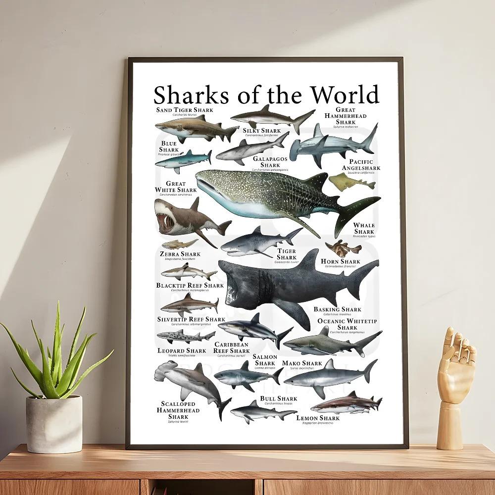 Whale and Shark Seashells Turtles Octopus Fish Marine Life Ocean Animals Poster and Print Canvas Painting  Wall Art Home Living Room