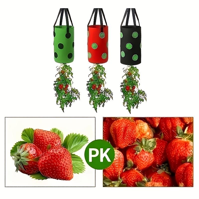 1pc Contemporary Geometric Pattern Plastic Plant Growing Bag, Wall Hanging Strawberry Planter, Lightweight, Indoor & Patio Use