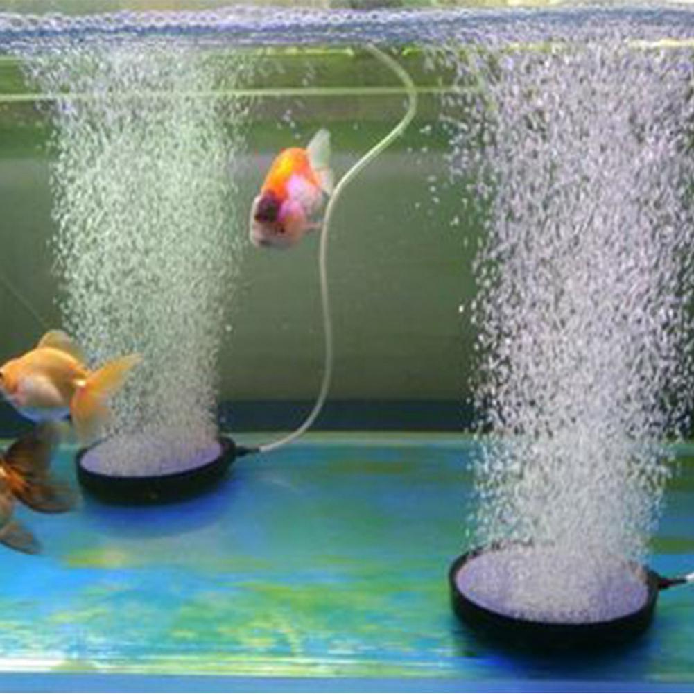 aquarium oxygen diffuser