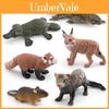 Realistic Plastic Short-tailed Bobcat Cute Red Panda Charming Platypus And Snowy Ferret Miniature Animal Figurines For Collectors And Decor