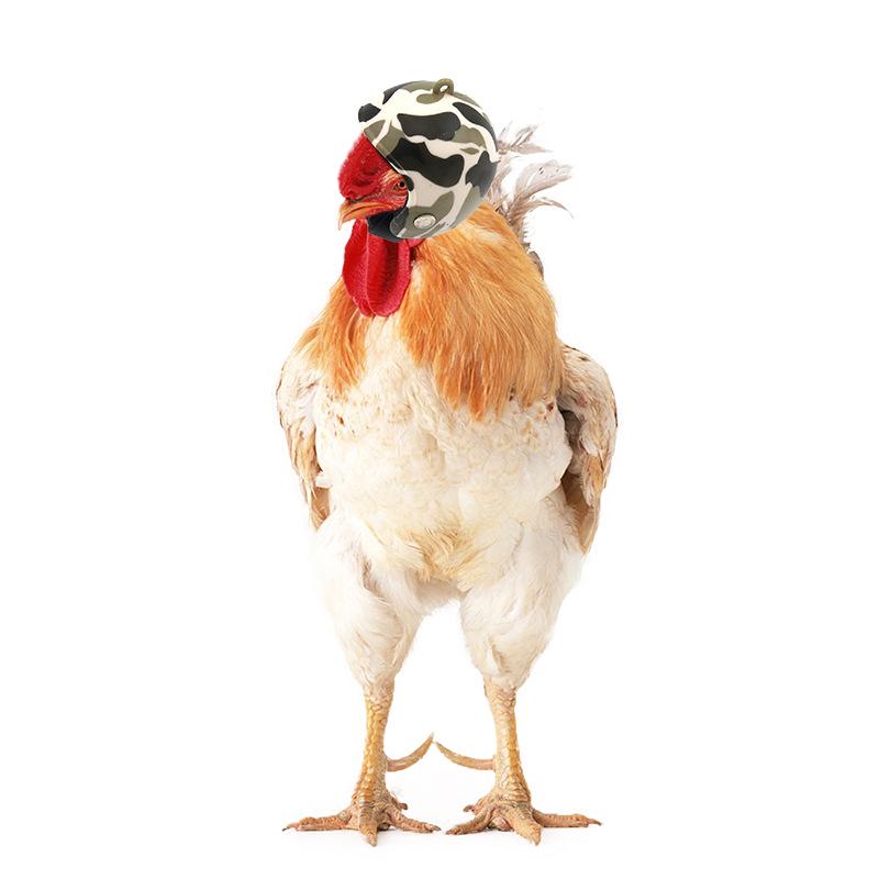Chicken Helmet Protective Hat for Pets: Funny Headband for Chickens, Hamsters, and Small Birds