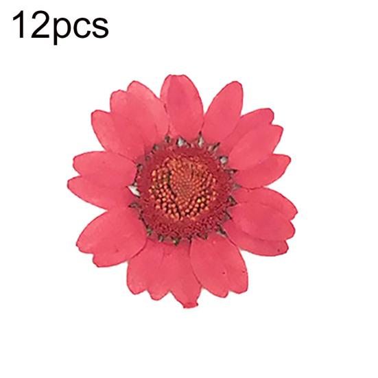 12 sztuk Prasowane Suszone Naturalne Kwiaty Żywica Epoksydowa Crafting Paznokci DIY Dekoracja Telefonu