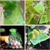 100Pcs Mesh Fruit Protection Bags with Drawstring Weather Resistant Anti-Bird Netting Organza Fruits Insect Proof Bag