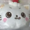 NCT Wishberry Japan Pop-Up Kuri Strawberry Pouch Riku Wish