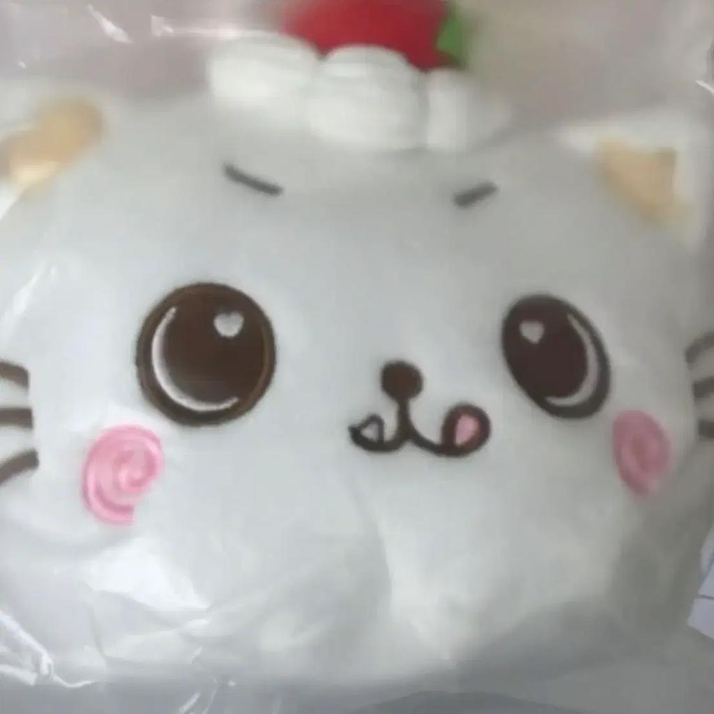 NCT Wishberry Japan Pop-Up Kuri Strawberry Pouch Riku Wish