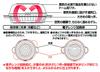 Skater Chinese Bun Chinese Bun Microwave Chinese Microwave X 61mm Case, Steamer, Bun, Steamer, Size 154 SMA11-A