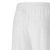 Puma Teamgoal 23 Solid Logo Elastic Waist Three-Quarter Sports Shorts Men shorts 704262-04