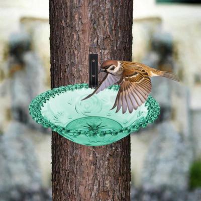 Bird Bath with Wall Mounting for Easy Setup Clear Feeding Bowl Outside Areas