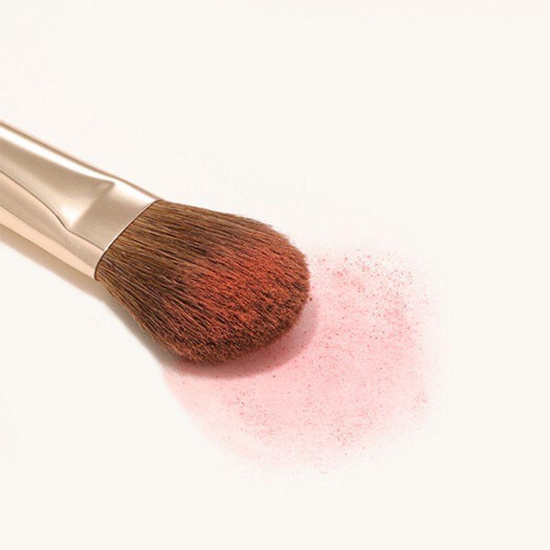 [Navizone Pore Eraser] The Tool Lab 162 Small Blusher Brush