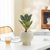 Retro High-Leg Ceramic Flower Pot for Phalaenopsis, Green Radish, and Spider Plant in Cream Style