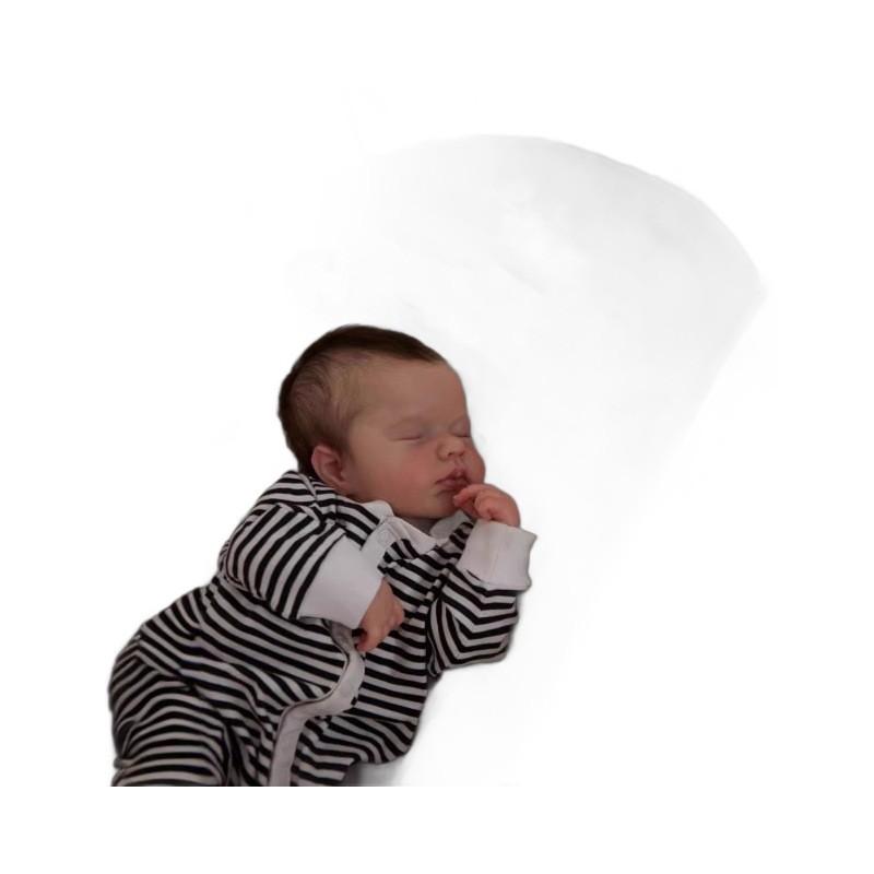 Silikon Reborn Babypuppe für Sammler mit realistischen Merkmalen zum Verschenken und Ausstellen