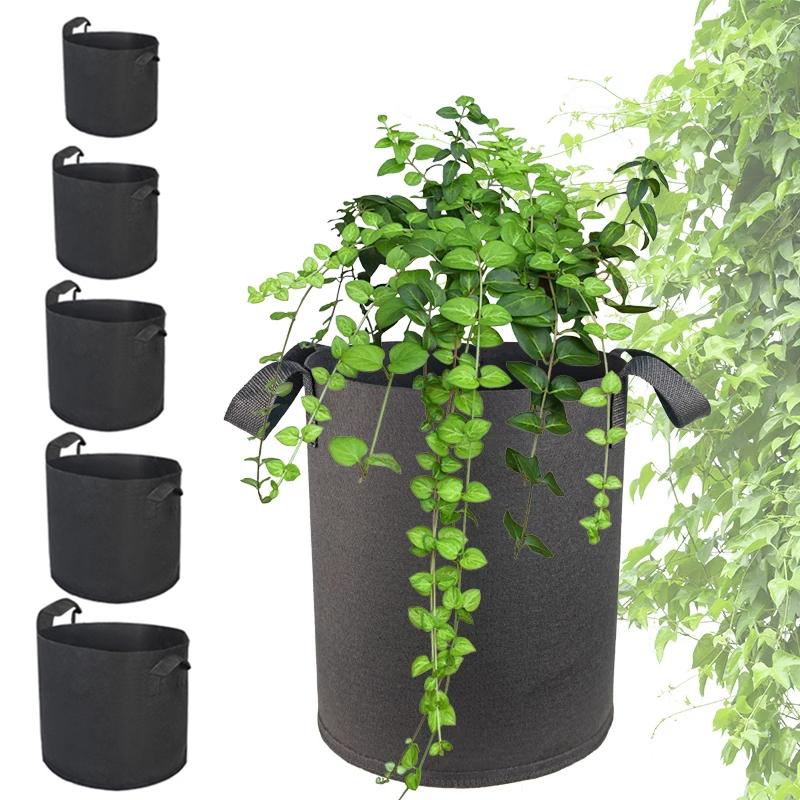 2-50 Gallon Felt Plant Grow Bags Strawberry Vegetable Fruit Thickened Fabric Planting Bag Plant Seedling Bag with Handles