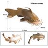 Children's Cognitive Catfish Model Toy - Whiskered Freshwater Fish Ornament