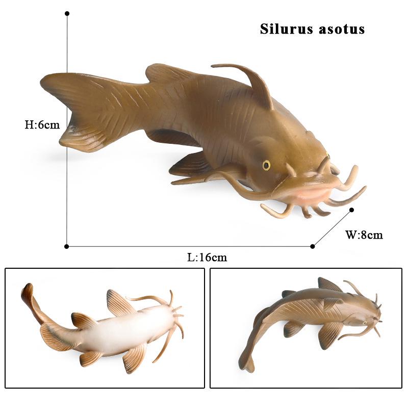 Children's Cognitive Catfish Model Toy - Whiskered Freshwater Fish Ornament