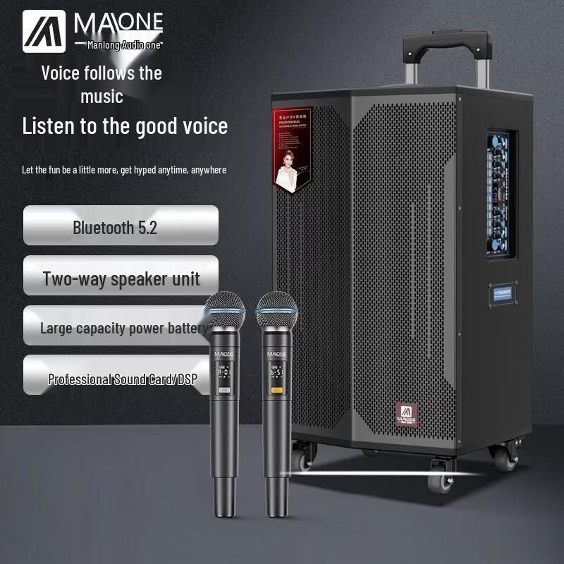MALONE Portable Bluetooth Karaoke Speaker with Wireless Microphones (CN version)