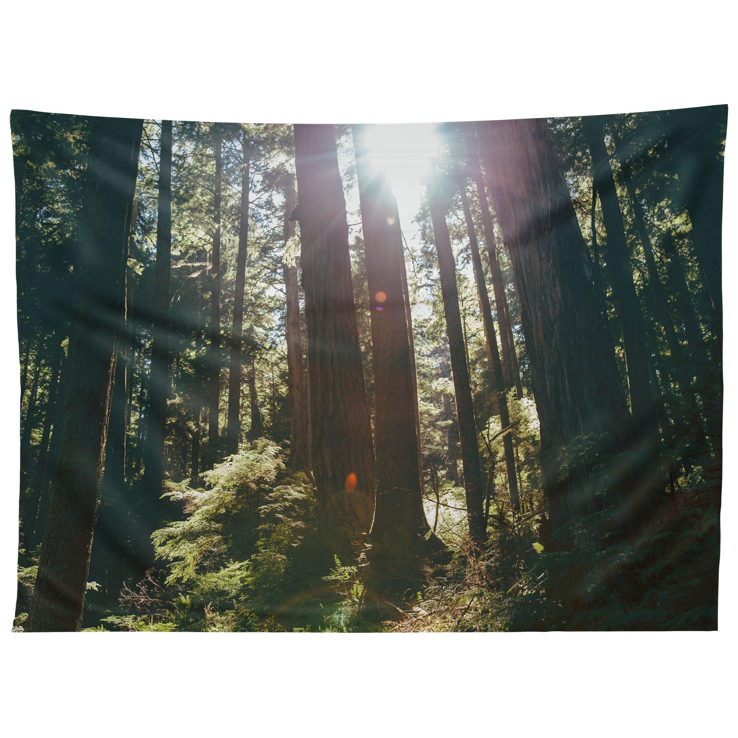 SUNNY FOREST tapestry 75x100