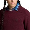 Polo Ralph Lauren Wool Blend Crew Neck Sweater Men sweater Wine 710918135-006