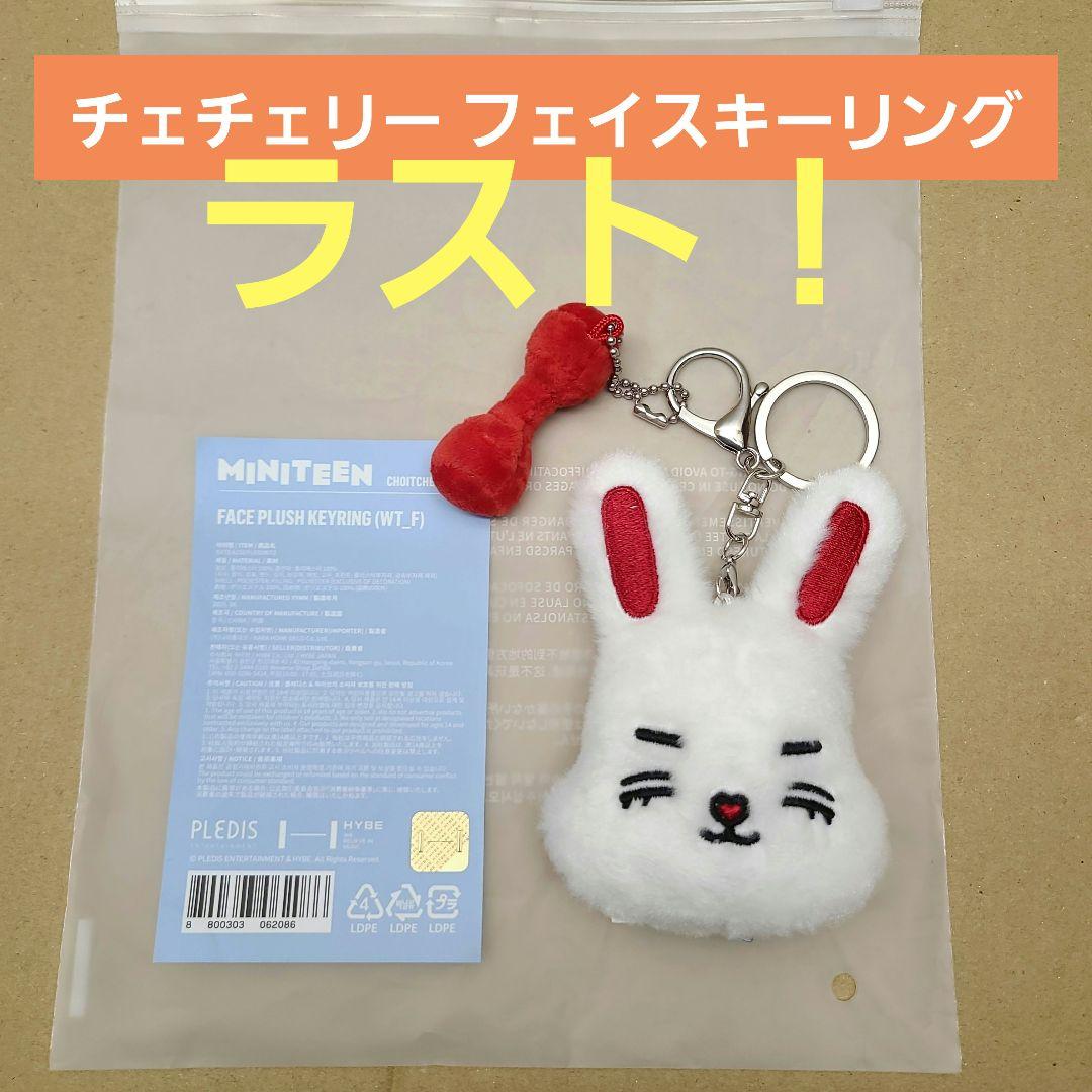 

[USED] MINITEEN S.Coups Face Keyring Miniteen Chechery