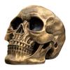 Halloween Skull Head Model Resin Horror Skull Statue Life Size for Indoor Desk Decor