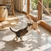 Cat Wand with Long Rope Toy Linen Bag, Interactive Bell, Exercise for Adult Cats Wooden Handle Feather Indoor Scratching Chasing Lure