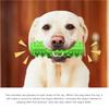 Dog Chew Toys Interactive Fun Teeth Cleaning Soft   Dog Toothbrush Dog Squeaky Toys for Indoor Outdoor