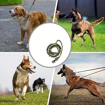 Adjustable In Size, For Medium To Large Dogs,  Hunting Dog Collar and Leash