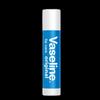 Shea Butter Moisturizing Lip Balm