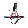 SM Female Slave Training Toy: Forced Mouth Gag for Couples, Flirting & Restraint