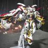 Daban Model Gold Frame Amatsu Plastic Kit Metal Build Style Mecha Action Figure Collection MG 8826 1/100 Poseable Articulated Scale Detailed Movable