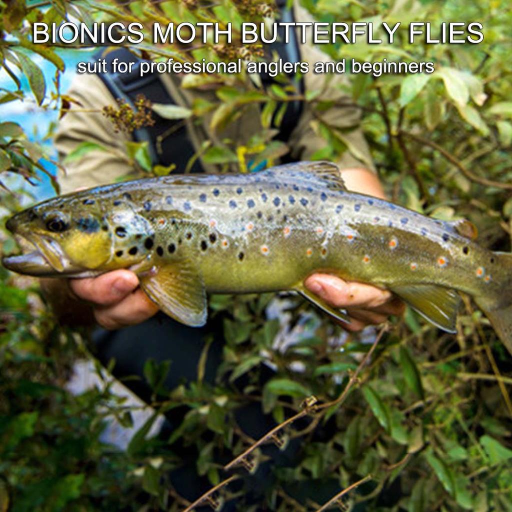5/10 Stück/Set Künstliche Trockenfliegen Schmetterlings-Köder Mehrfarbig Fliegenfischen Köder Angeln Forelle Lachs Barsch Motte Schmetterling Insekt Köder