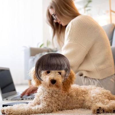 High Temperature Fiber Wig for Pet Dog Cats Roleplay Party Gathering Pet Dressingup Wig Photo Headwear for Small Breeds