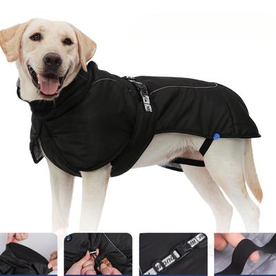 Giyim ve ayakkabı – Köpekler İçin Ceketler ve Montlar