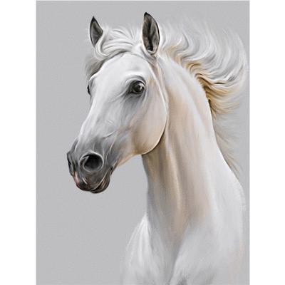 Pittura Diamante 5d Cavallo Completo Mosaico Diamante Animale Ricamo Diamante Fatto a Mano