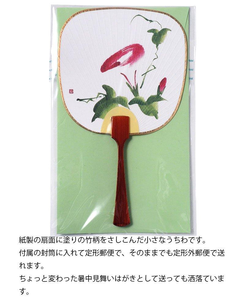 Shikoku Uchiwa Fan Cool Breeze News Miyako Bean Hirugao [Unisex] Fan,