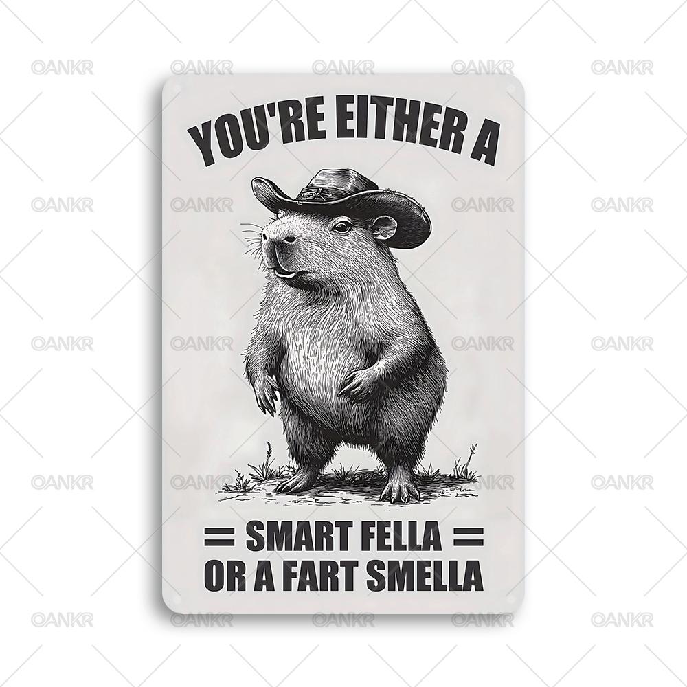 

Vintage Childrens Room Sweet Decor Poster Metal Tin Sign Youre Either A Smart Fella Chic Gift Metal Signs for Home Wall Decor 20x30cm（7.8x11.8inch）