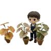1Pcs Home Decor Mini Taro Turtle Back Green Potted Plants For Dollhouse Scandinavian Style Model Decoration Props