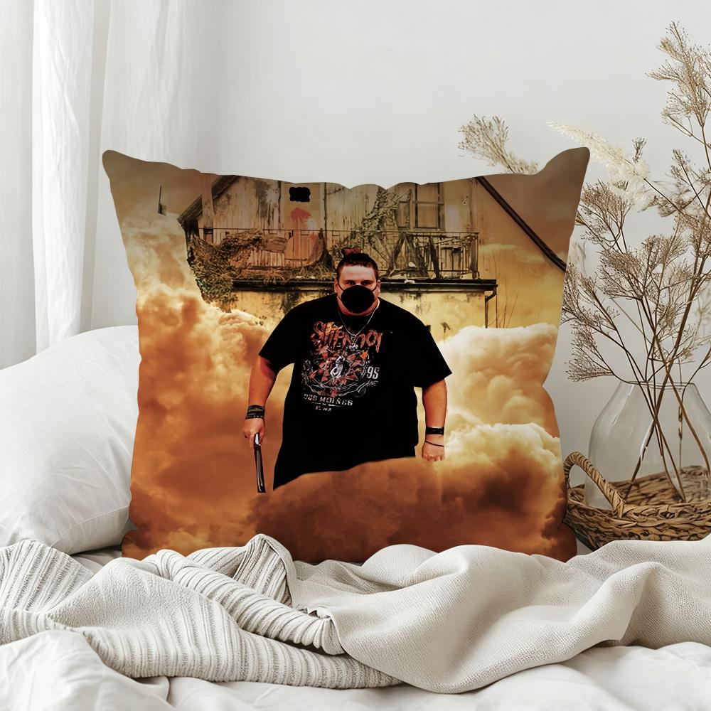 Fun R-Rainer Winkler D-Drachenlord Pillow Case Bedroom Sofa Living Room Backrest Decoration Square Cushion Nap Time