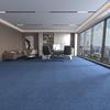 Soundproof Carpet Squares for Offices, Hotels, Billiard Halls, and Conference Rooms