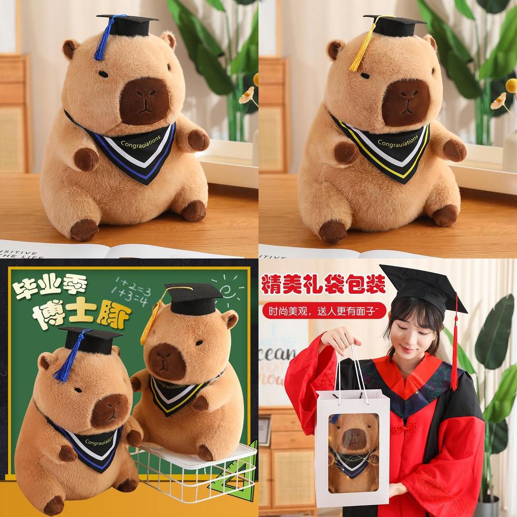 Adorable Capybara Plush Toy Doctor Figure Unique Graduation Memorial Pillow Soft Toy