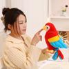 25cm Like Real Parrot Toucan Bird Plush Toy Stuffed Red Green White Black Animal Plushie Home Decor Birthday Gift