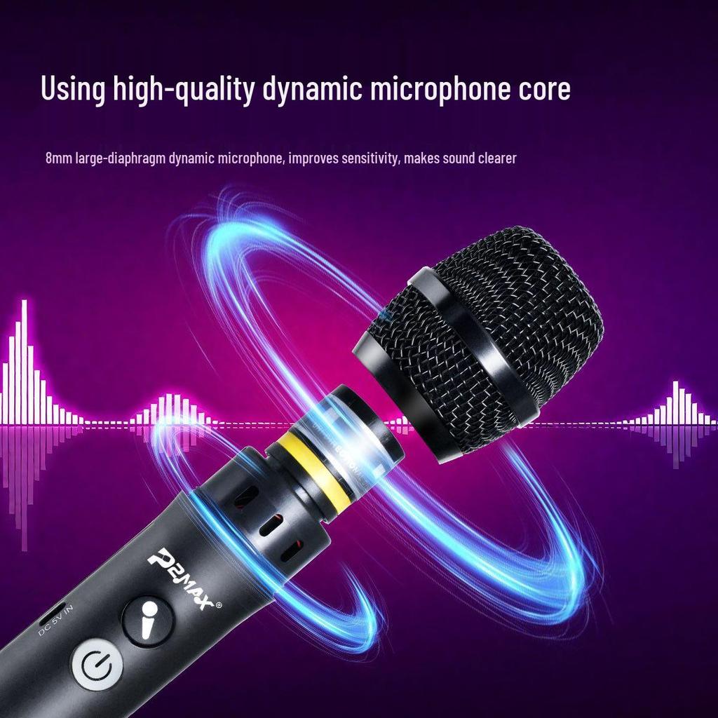 Wireless Noise Reduction Microphone for Home Karaoke and Live Streaming