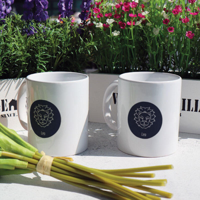cb621-Design Mug 2p-Leo