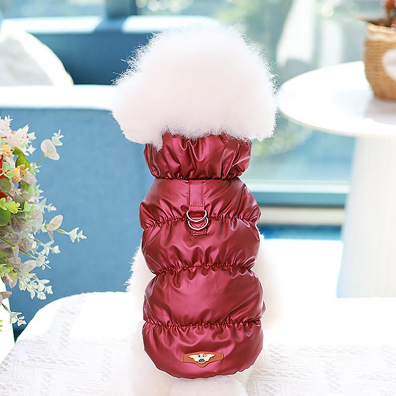 Orange Cat Down Jacket with Traction Buckle Winter Warm Pet Clothes for Cats Gotas Kitten Sphynx Coats Clothing vetement chat