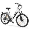 ESKUTE C202 Elektrisches Citybike, 250W Motor, 48V 17.5Ah Abnehmbarer Akku