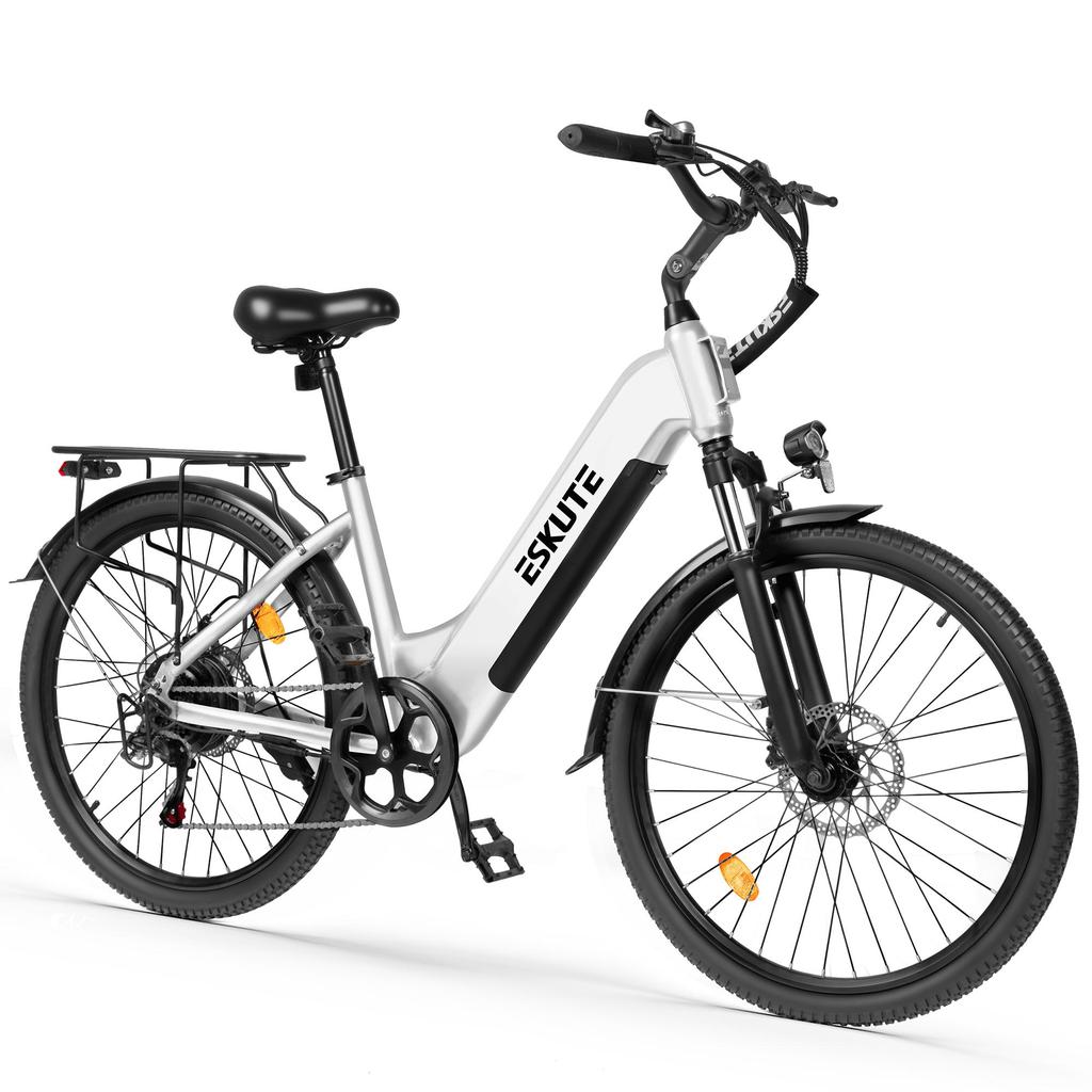 ESKUTE C202 Elektrisches Citybike, 250W Motor, 48V 17.5Ah Abnehmbarer Akku