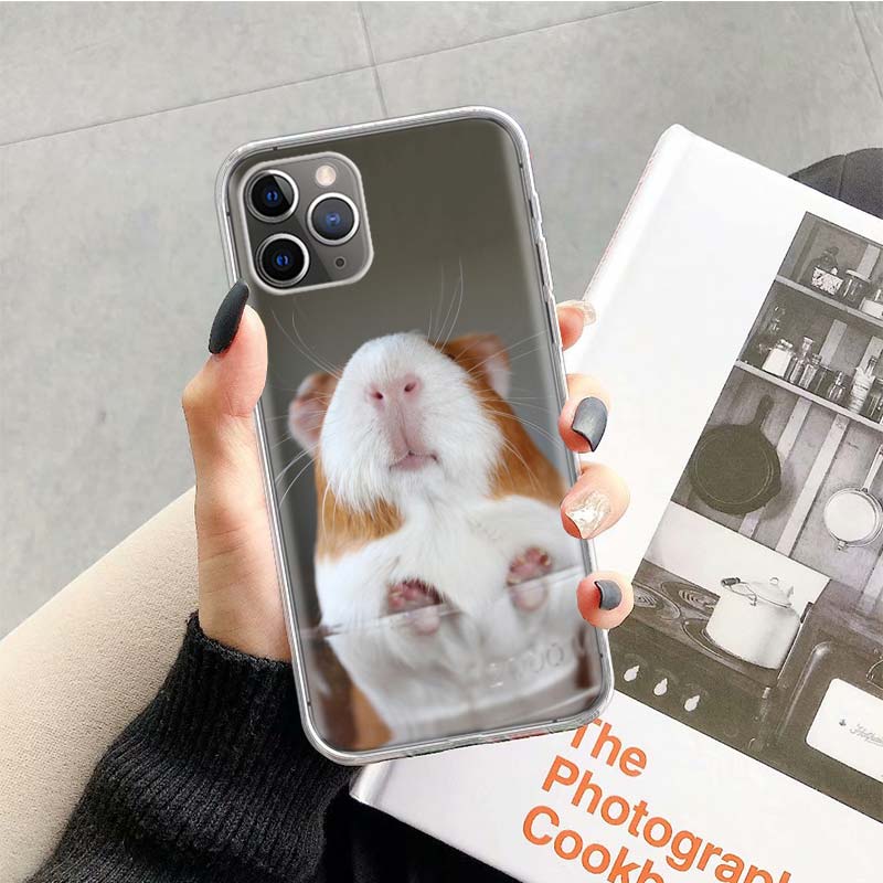 

Guinea Pig Cute Animal Pet Blue Phone Case For Apple iPhone 17 Air 16 15 Plus 14 + 13 Mini 12 11 Pro Max 7 8 SE 16Max Soft Shell iPhone 15 Pro