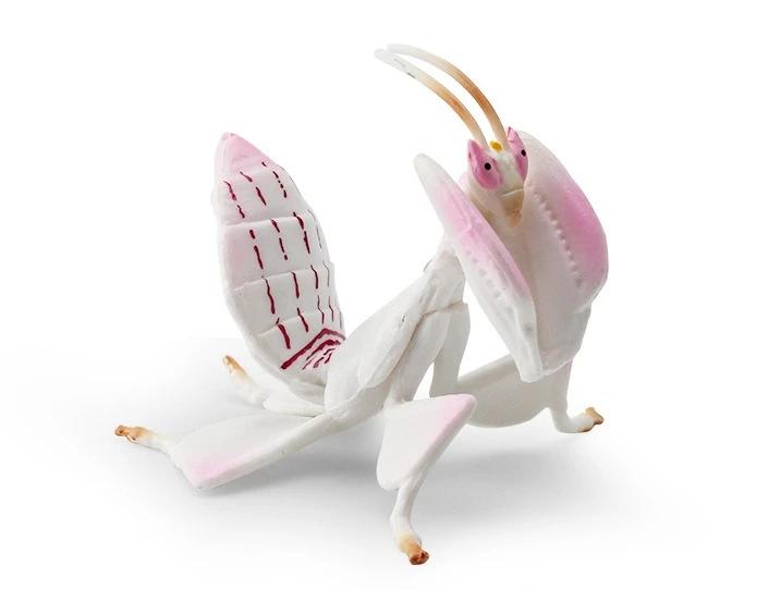 Realistic 1Pcs Insect Animal Models Classic Home Decoration Craft Creative Dead Leaf Mantis Fashion Giant Leaf Bug Toy Figures