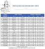 Raccordo a Gomito 90° Bsp/Orfs 1/4" / 9/16"